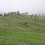 Abbottabad Model Town