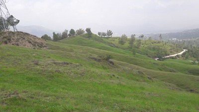 Abbottabad Model Town