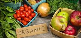 GLOW Organic Farms Islamabad