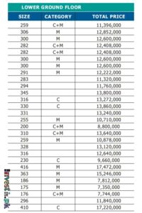 Downtown Mall Payment Plan
