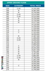 Downtown Mall Payment Plan