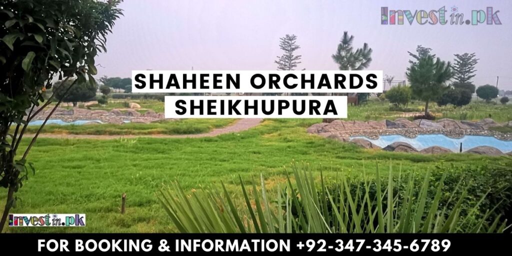 Shaheen Orchards
