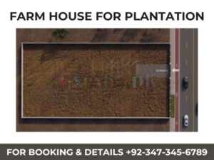 Farm House For Plantation