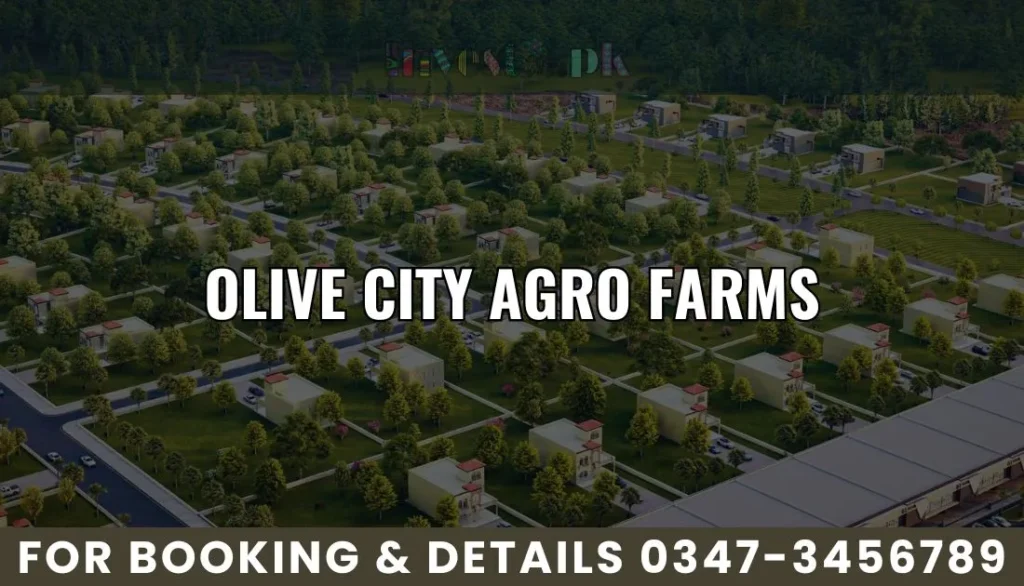 Olive-City-Agro-Farms