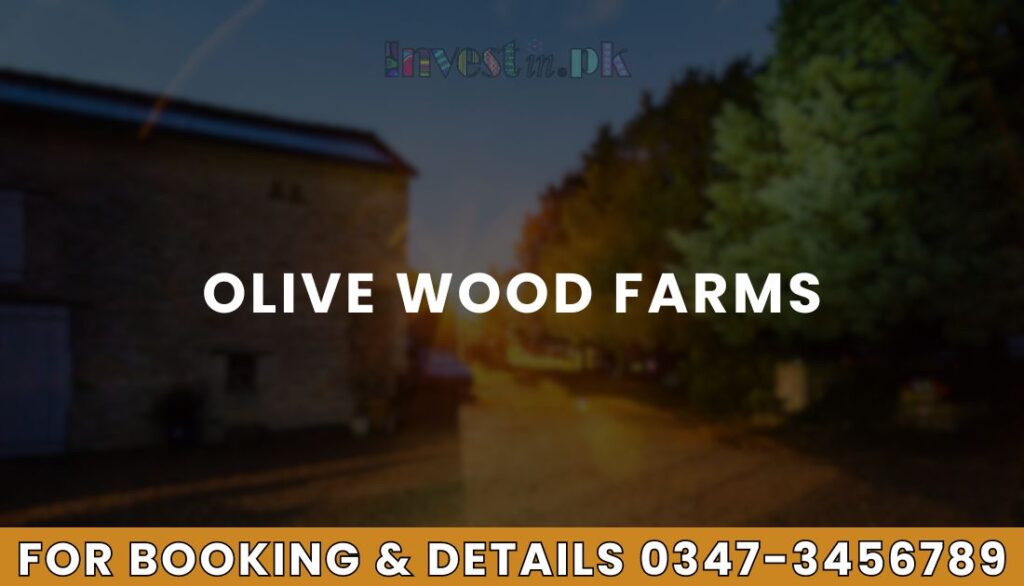 Olive Wood Farms